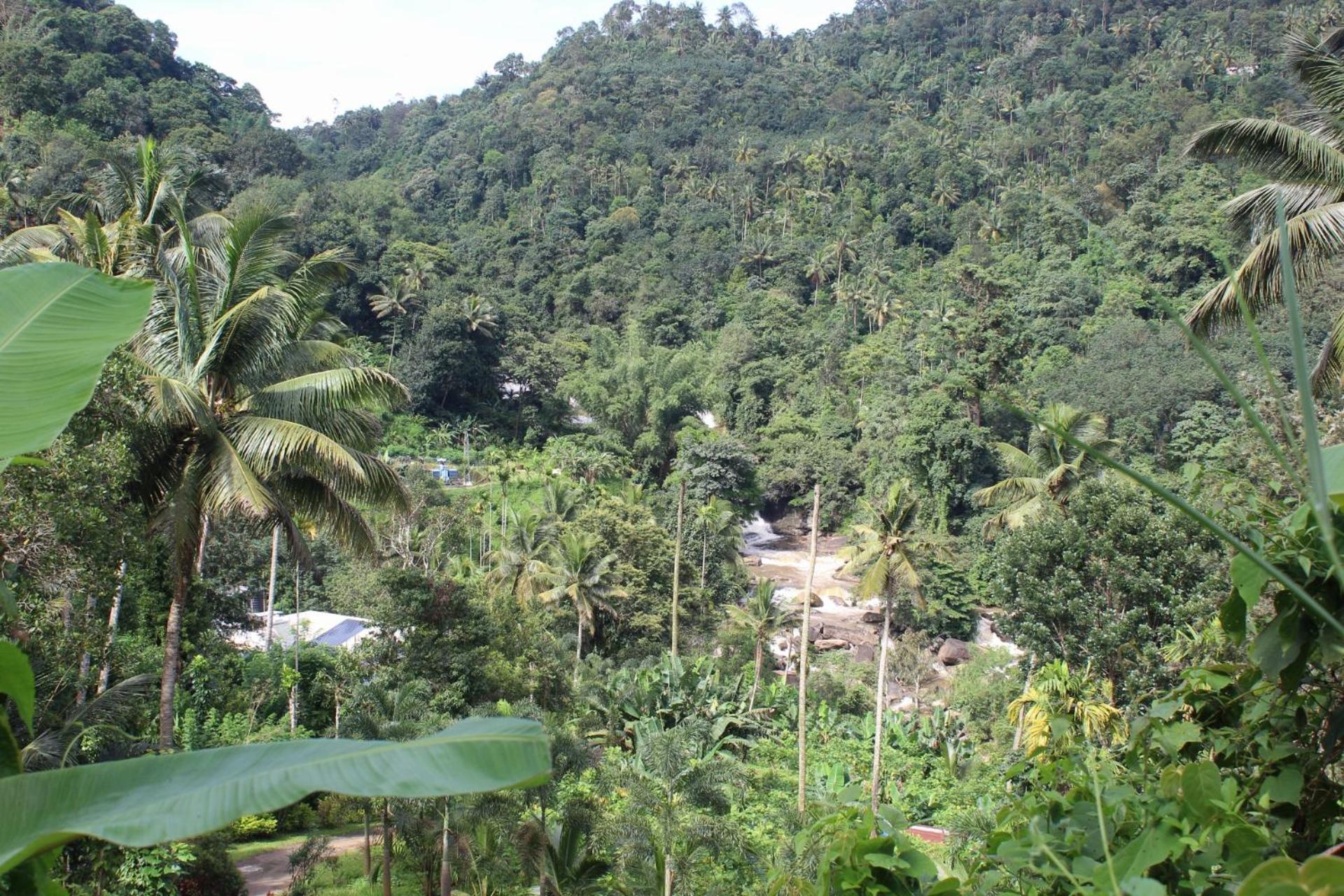 Munnar Village Homes Buitenkant foto